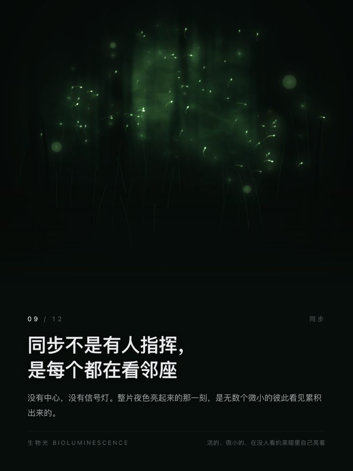 一张卡片：深色画面里一群萤火在雾中同步明灭，下方是判断句「同步不是有人指挥，是每个都在看邻座」。